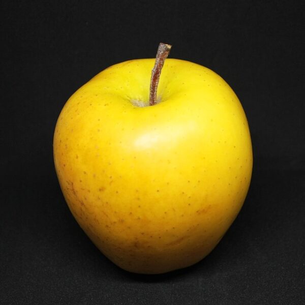 Yellow apple against a black background