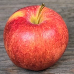 Red apple with a yellow background. Red is streaked.