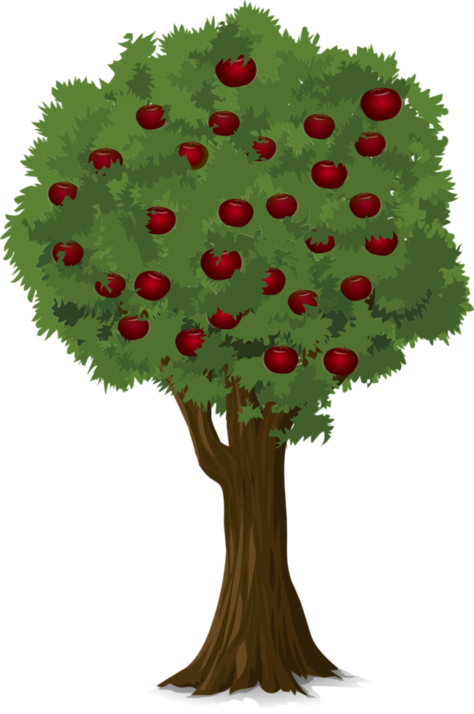Drawing of a green tree loaded with red apples