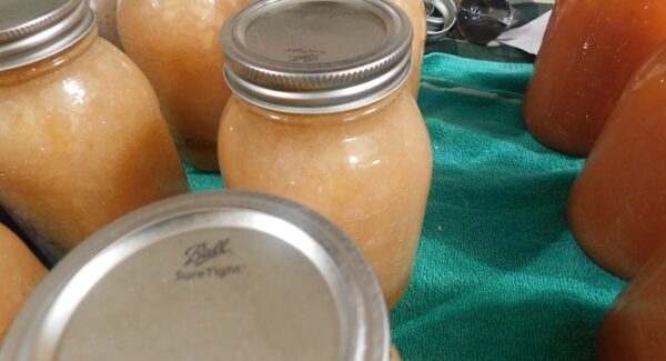 Jars of applesauce